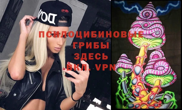 гидропоника Каменка