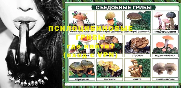гидропоника Каменка