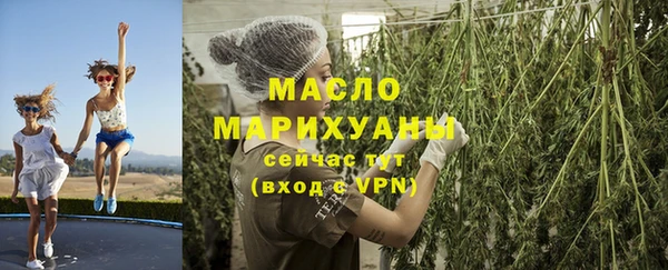 гидропоника Каменка
