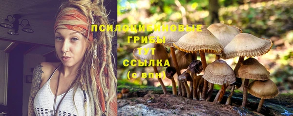 гидропоника Каменка