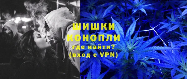 гидропоника Каменка