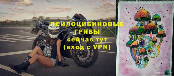 гидропоника Каменка
