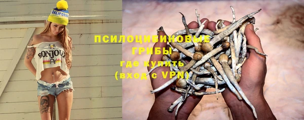 гидропоника Каменка