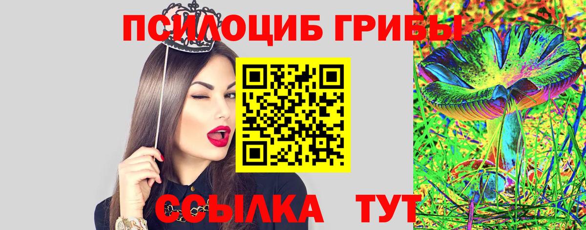 Пенза  Галлюциногенные грибы мухоморы  Вход с VPN 
